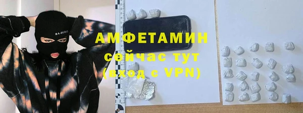 шишки Аркадак