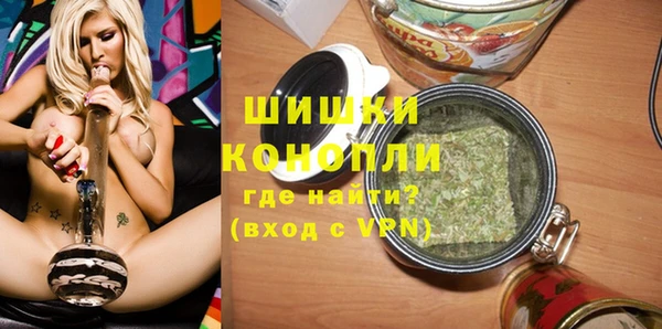 шишки Аркадак