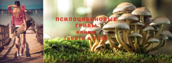 каннабис Арсеньев