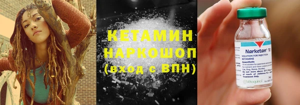 шишки Аркадак