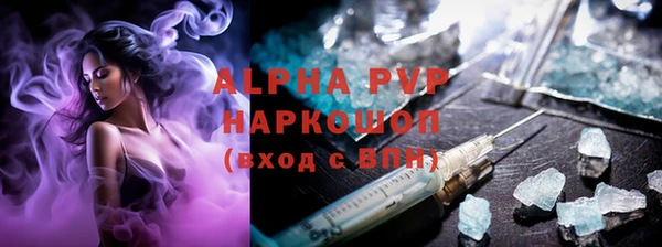шишки Аркадак
