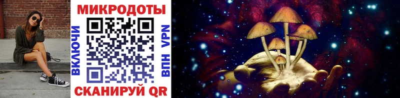 цены наркотик Партизанск Псилоцибиновые грибы Psilocybe
